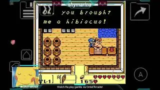 Watch me stream Legends of Zelda Awakening