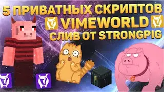 СЛИВ 5 ПРИВАТНЫХ СКРИПТОВ VIMEWORLD