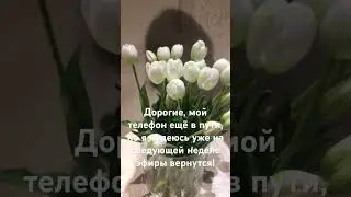 Жду свой новый телефон, обещали 24, но сказали что задерживается где-то в пути. В апреле точно будут