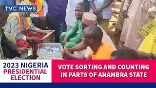 #Decision2023: Sorting, Counting Of Votes In Parts Of Anambra State