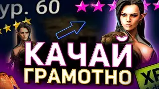 Прокачка корма От и До! Качай героев грамотно в Raid shadow legends!