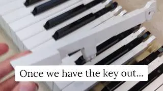 How to fix a key on a digital piano Casio Calviano AP-33?