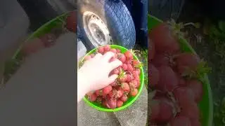 28 июня 2024 г.