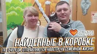 Найденные в коробке по очереди отправляются навстречу семейной жизни! | Кора