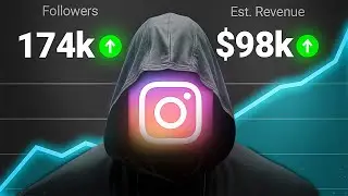 I got 1 MILLION Followers in 365 days on a faceless instagram theme page