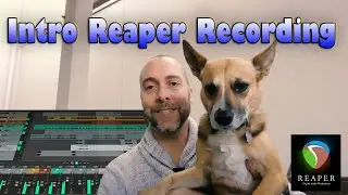 Recording in Reaper - autobiography task - basic editing and rendering