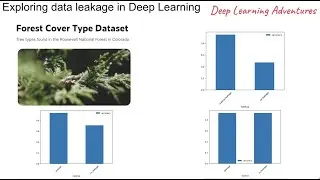 Exploring data leakage in Deep Learning