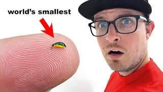 I Fished With The World's Smallest Lure