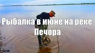РЫБАЛКА В ИЮНЕ НА РЕКЕ ПЕЧОРА /  FISHING ON THE RIVER IN JUNE PECHORA