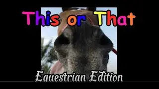 This or That (Equestrian Edition)