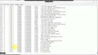 Basic Linux Performance Monitoring Commands & Tools