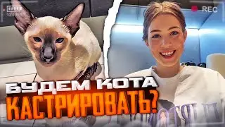 АКУЛИЧ И КОРЕШ КАСТРИРУЮТ НОВОГО КОТА!? | МИЛЫЙ ДОМАШНИЙ ИРЛ СТРИМ АКУЛИЧ С НОВЫМ ПИТОМЦЕМ БАРЕЙ