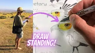 How to Draw Standing Up: The Nature Journal Show