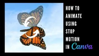 How to Animate using Stop Motion in Canva