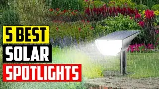 Top 5 Best Solar Spotlights Reviews 2023