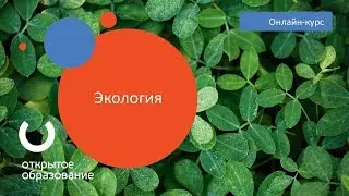 Экология / Политех