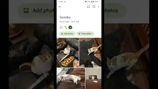 Google Photos: How to create a shared album