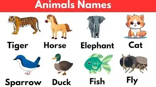 Learn 100 Animal Names in Hindi and English for Kids and Beginners