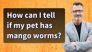 How can I tell if my pet has mango worms?