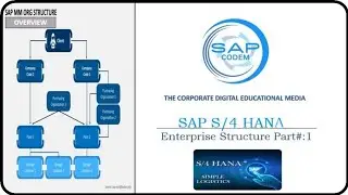 SAP S/4 HANA Enterprise Structure Explained in detail Part#: 1