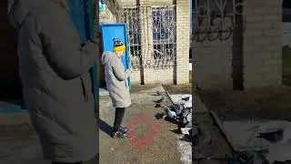 Кормим голубей.