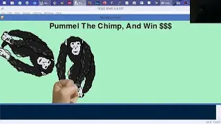 Pygame - Refactored Chimp Example (OOP)