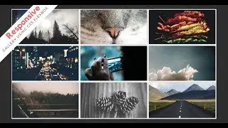 Design Responsive Image Gallery Using HTML & CSS Flexbox || CssShots || Web Designing