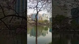 Ташкент.