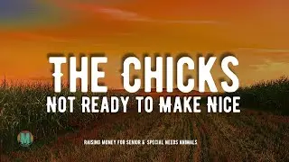 The Chicks - Not Ready to Make Nice