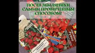 ПОСЕВ ЗЕМЛЯНИКИ САМЫМ НАДЕЖНЫМ СПОСОБОМ!