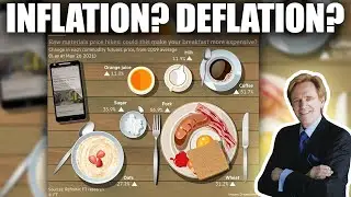 Inflation or Deflation? What Is Going On?!?! Mike Maloney