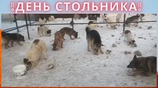 Срочное обращение ко всем Кто смотрит!