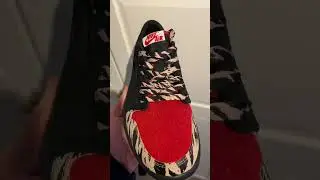 Jordan 1 x Solefly with the zebra laces