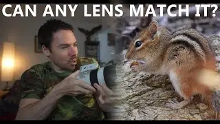 Sony 200-600mm: Best Wildlife Lens for ANY System?