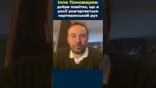 Ілля Пономарев: добре помітно, що в росії розгортається партизанський рух