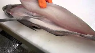 Haddock Cutting