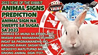 🍀 2023 YEAR OF THE RABBIT PREDICTION GABAY SA BAWAT ANIMAL SIGNS | YEAR OF THE WATER RABBIT ALAMIN…