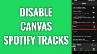 How To Disable Canvas On Spotify Tracks