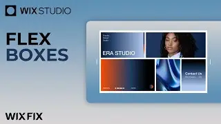 Flexboxes in Wix Studio | Wix Fix