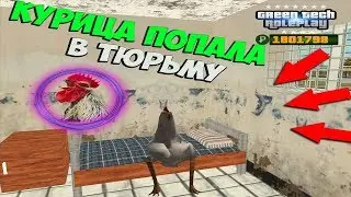 Приключения курочки часть 1 |GreenTech RolePlay