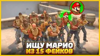 НАЙДУ ЛИ Я МАРИО СРЕДИ 15 ФЕЙКОВ В КСГО??!? // ПРОВЕРКА НА ДРУЖБУ