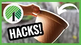 GRAB $1 DOLLAR TREE DIY PLANTER HACKS!! OUTDOOR DIY DOLLAR TREE CRAFTS!