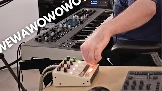 Synth Goes "WEWAWOWO"