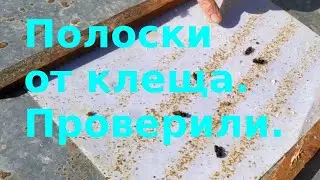 Полоски от клеща. Проверили.