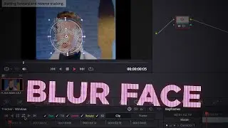 Blur Moving Faces in DaVinci Resolve 19 - Step by Step