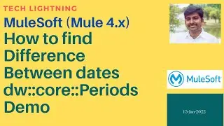 Mulesoft | How to find difference between two dates | dw::core::Periods | Between Dates Demo