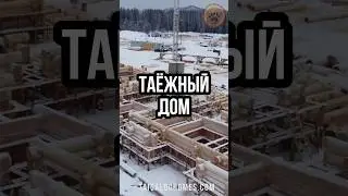 Загляните в артель 