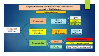 Responsabilità civile e penale OSS