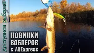 НОВИНКИ ВОБЛЕРОВ С АЛИЭКСПРЕСС 🔥! Копии JACKALL Rerange 110SP, OSP Rudra, ITUMO Amigo от AllBlue