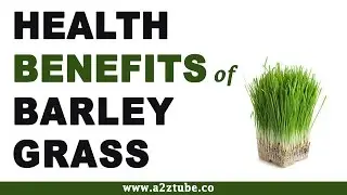 Health Benefits of Barley Grass